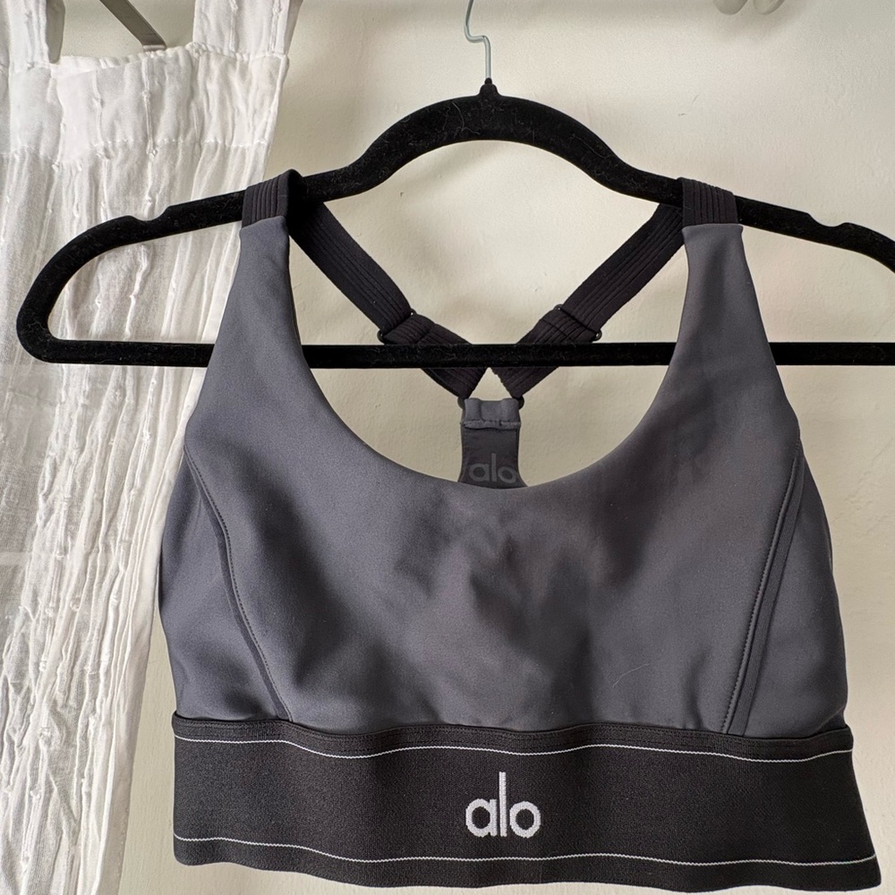 ALO Charcoal/Black Sports Bra